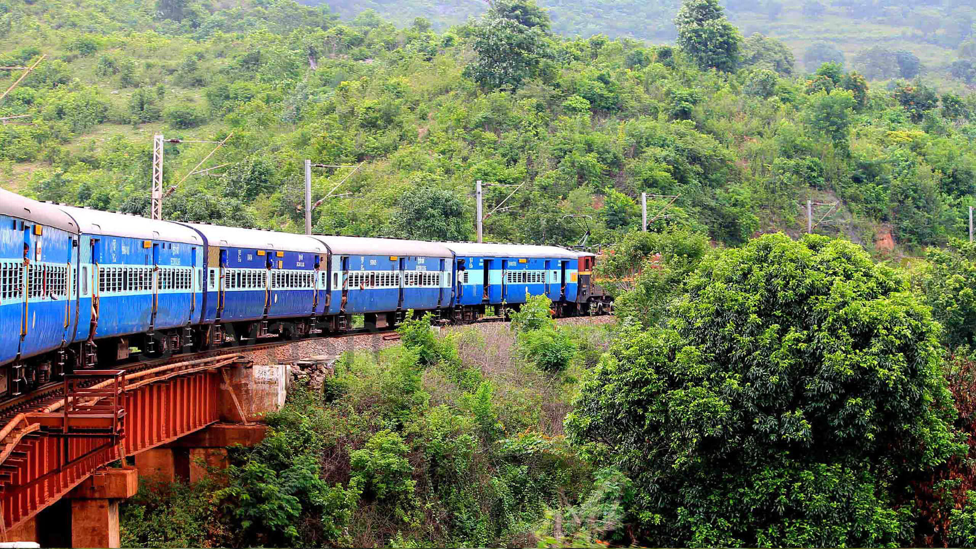 araku local tour